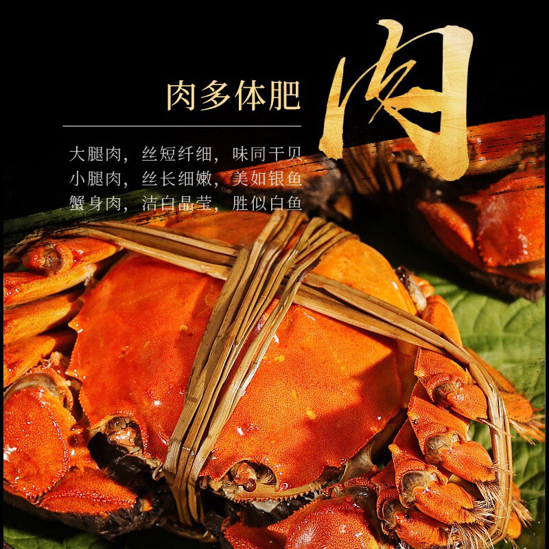 【真杰】24只大闸蟹黄满膏肥鲜活精品礼盒装水产毛蟹残蟹