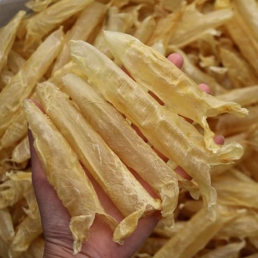 广州 流量款，最多人买的一款黄花胶终于有货了价格便宜一大半