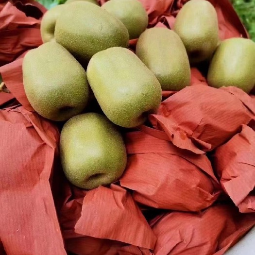 赣南红心猕猴桃批发采购供应，精品猕猴桃种植基地，价格实惠