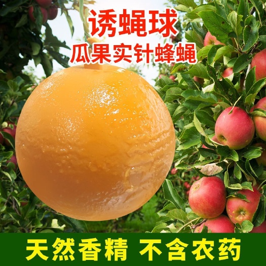 曹县诱虫板  诱蝇球柑橘大小实蝇诱捕球瓜果树针蜂诱虫球诱捕器果蝇球粘虫蝇球