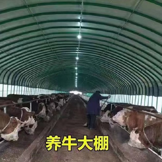 青县大棚管  养殖大棚