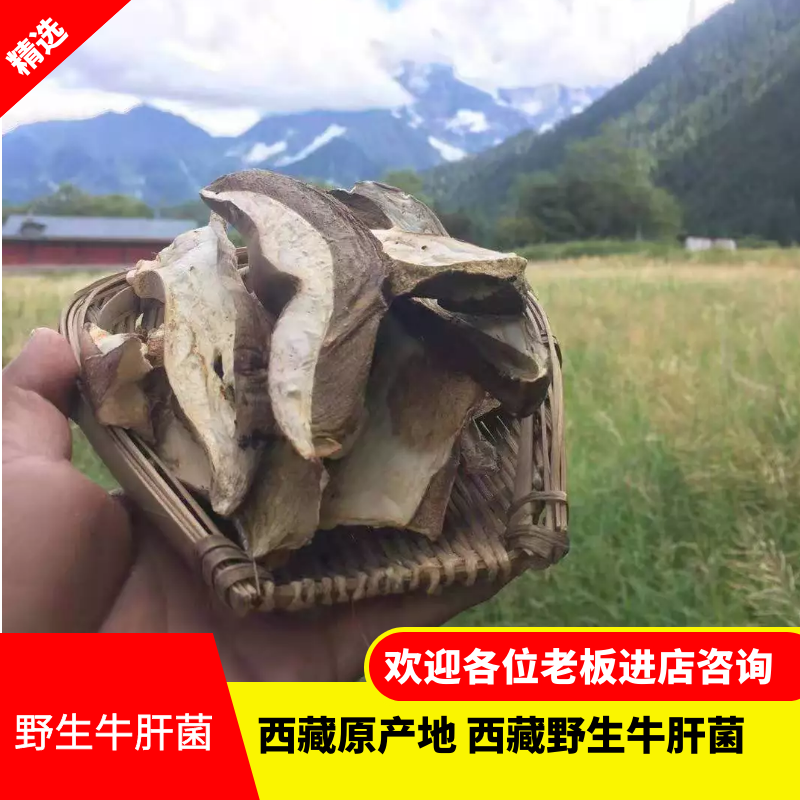 美味牛肝菌  牛肝菌干片 野生牛肝菌  一手货源 西藏产地直