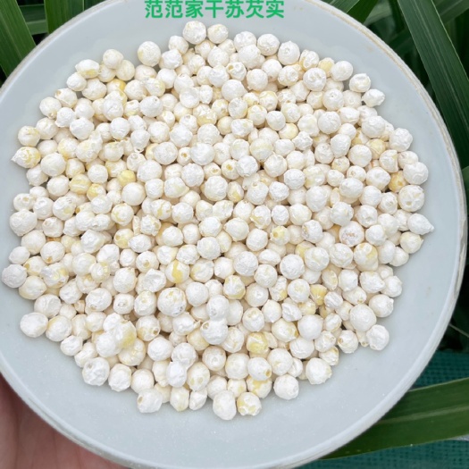 太仓市 鸡头米，苏芡实，自己家种植12年