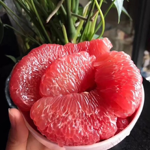 东莞市红心柚  (柚园红星）红肉柚，保证产品质量，精装产品，经过挑选装箱。