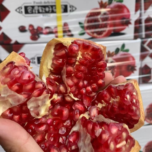 广州突尼斯软籽石榴 会理软籽石榴。整件超划算！