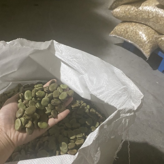南通 江苏蚕豆批发