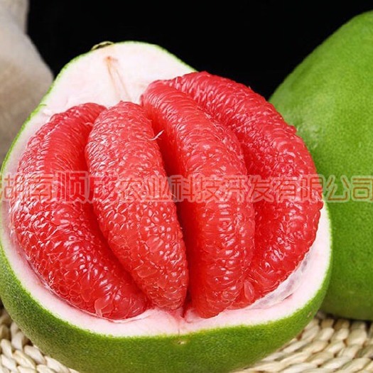 柚树苗  泰国红宝石青柚苗 可多季开花结果果肉易剥 入口化渣
