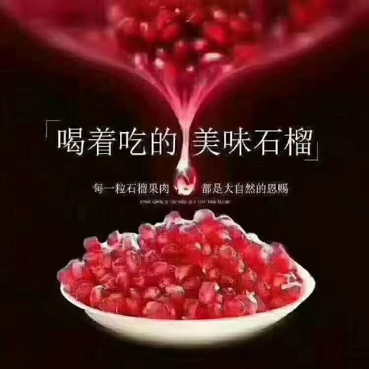 攀枝花突尼斯软籽石榴  攀枝花大田石榴，阳光的味道，在教师节、中秋节来临之际，现推出