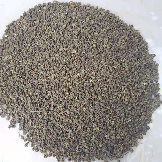 柳州吴茱萸