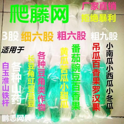 无棣县爬藤网山药网豆角网黄瓜网植物攀爬网防倒伏网撑果网吊果网