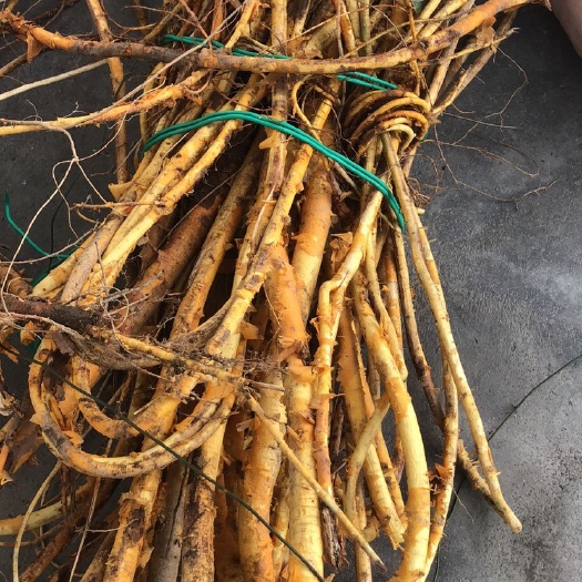武平县穿破石