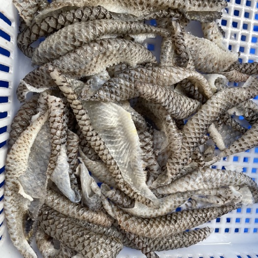 鱼皮 火锅专用