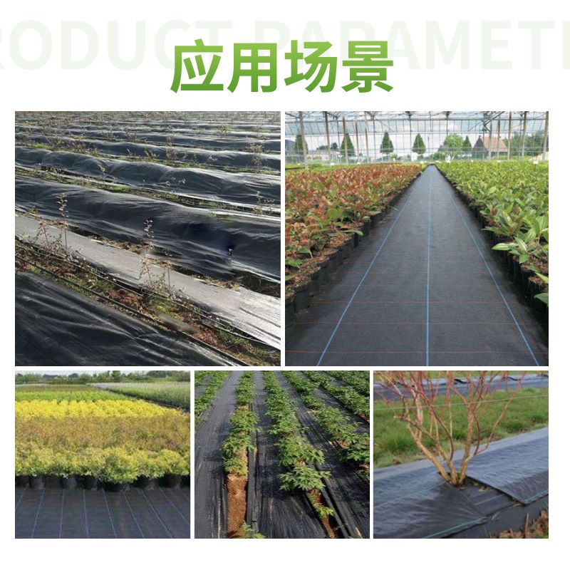 工厂批发防草布 PP防草布 园林专用除草布 加厚防草布