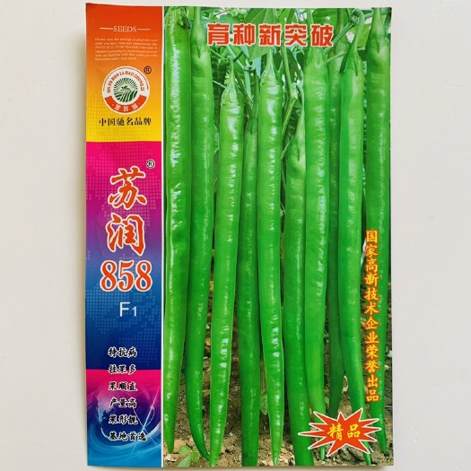 沭阳县苏润858一椒种子早熟条椒种子特长果线椒种子苏润种业辣椒籽种