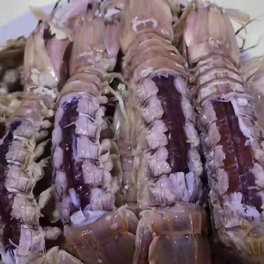 连云港皮皮虾