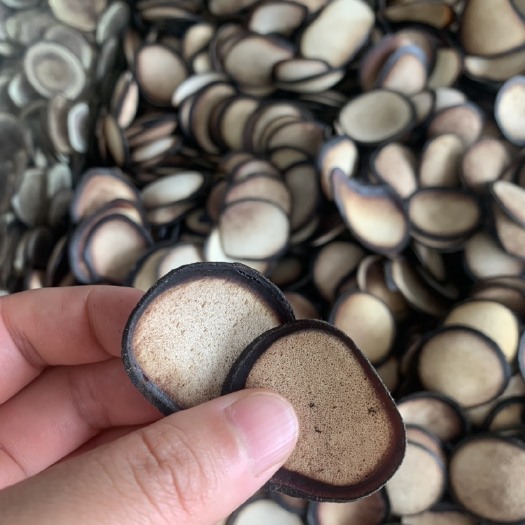 亳州 中药鹿茸片，各种规格鹿茸，一件代发
