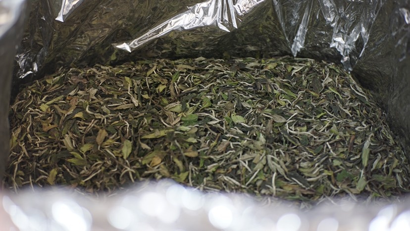 济南白牡丹茶  茶白牡丹散茶3号福鼎白茶工厂直销批发 正品原料