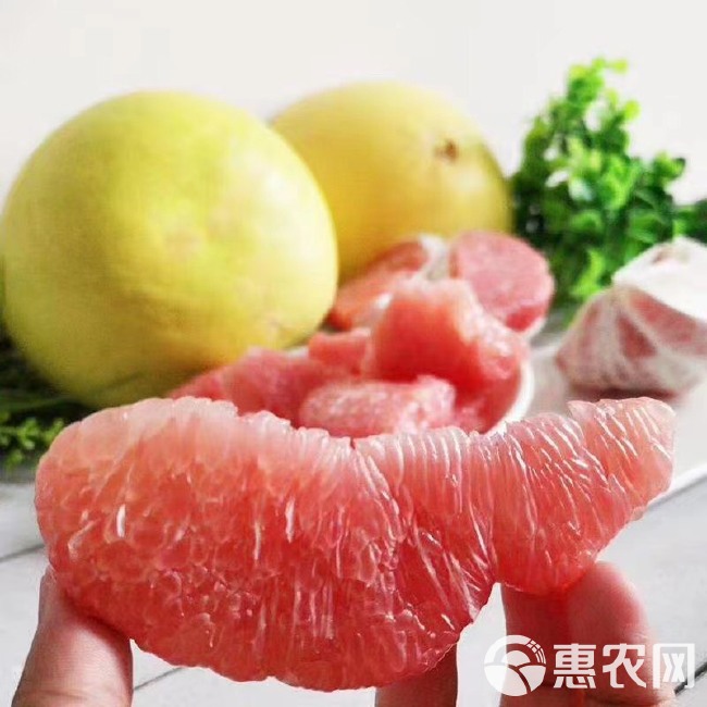 广东红肉蜜柚、大量有货．支持一件代发