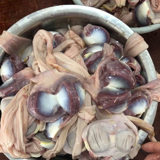 连平县鸭杂 新鲜鸭肾300斤
