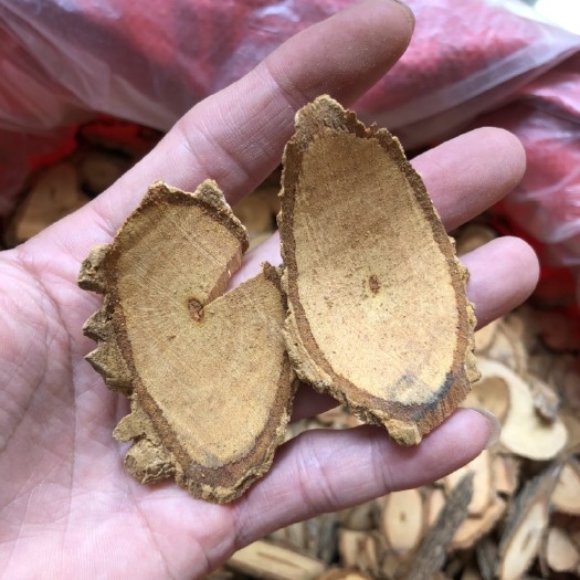玉林 中药大茶根钩吻大茶药 兽类食用药 500克包邮量大从优