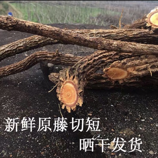 玉林 中药大茶根钩吻大茶药 兽类食用药 500克包邮量大从优