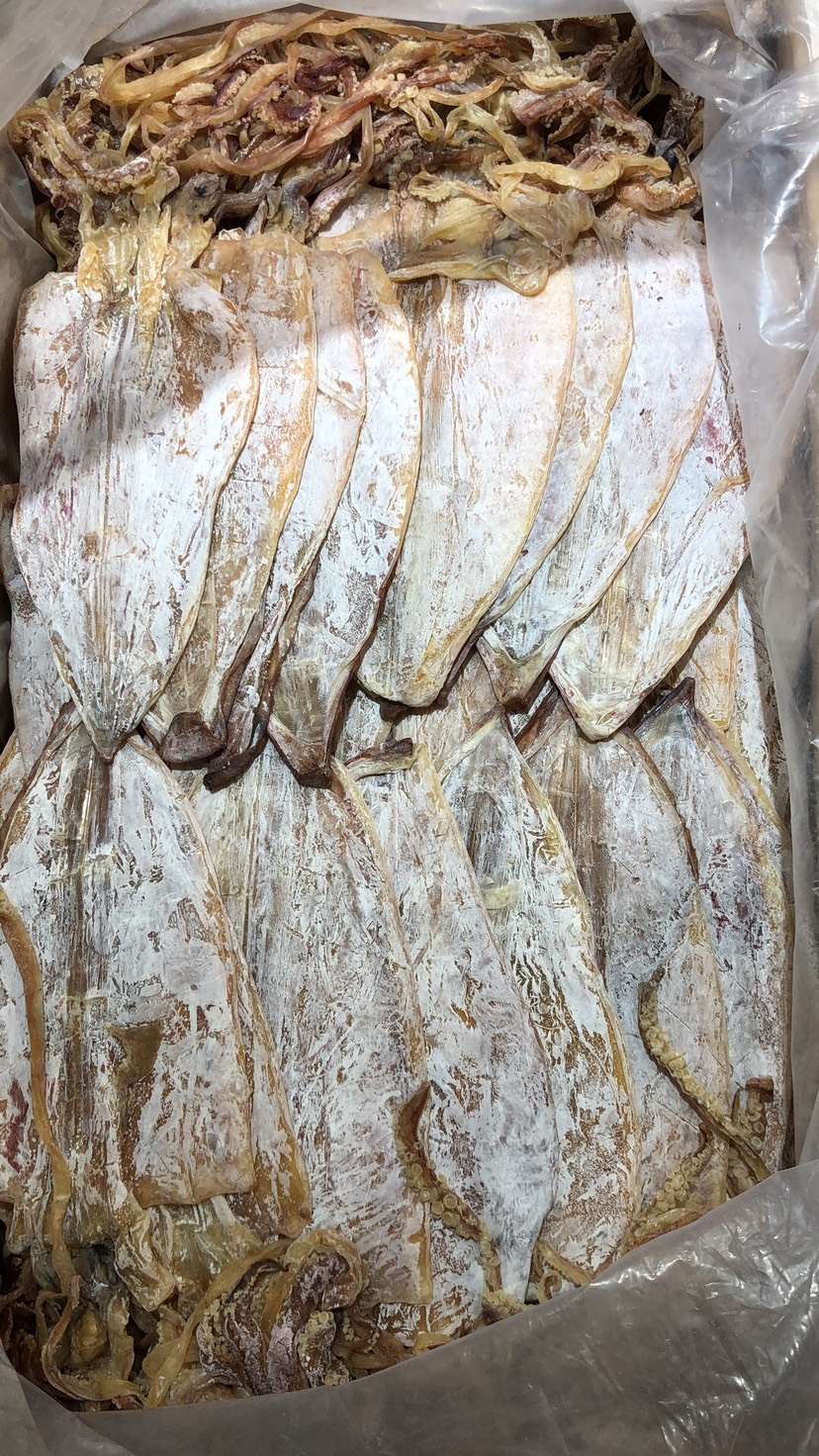 广州鱿鱼干 越南1级干鱿