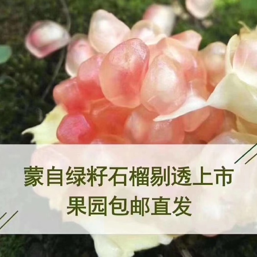 蒙自市红石榴 蒙自石榴绿子石榴关颜石榴厚皮石榴