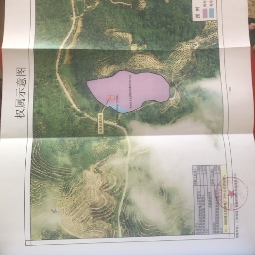 畜牧养殖用地 养猪和养三亚市立才农场与南滨交界处