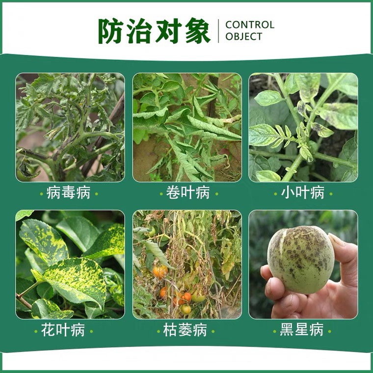 滬聯(lián)銳抗氨基寡糖素番茄病毒病生長調(diào)節(jié)增加抵抗力免疫殺菌劑