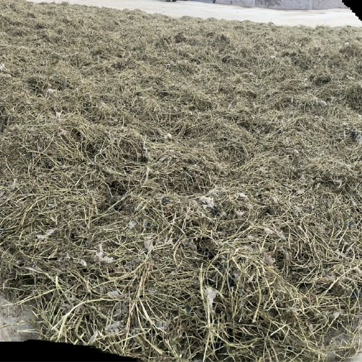 滦南县唐山滦南青干草饲料 牛羊马适用 农资优选 品质保证 源头发货