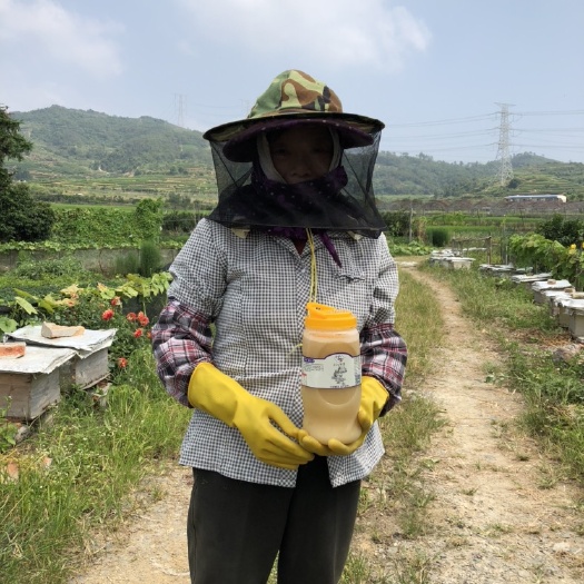 连江县百花蜜 波美度41以上的结晶蜜