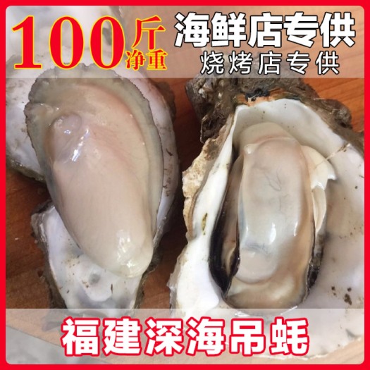 诏安县福建生蚝，烧烤生蚝，一口牡蛎，广东蚝精品生蚝牡蛎养殖加工