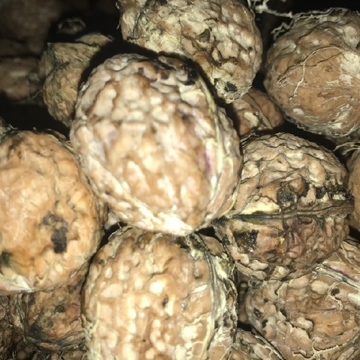 新平县薄皮核桃 云南核桃薄皮2021新货孕妇原味薄壳，新鲜大果坚果