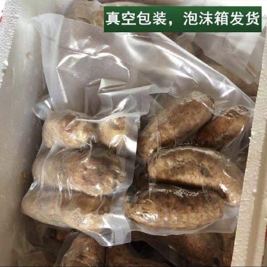 宁强县鲜天麻 真空天麻 红天麻（真空包装包邮）