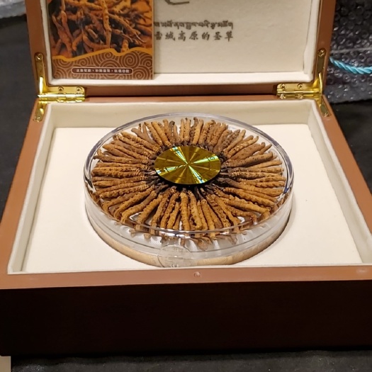 安多县那曲虫草  西藏那曲冬虫夏草，肉质饱满，营养价值高。