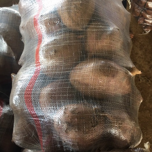 宜城市紫薯大头及各个规格紫薯