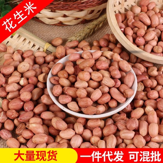 临沂现货批发大白沙花生米 脱壳榨油花生仁原料 白皮红皮生花生米