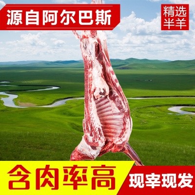 白条羊  自家牧场羊肉，纯正阿尔巴斯羊肉，价格稍高，作饲料羊勿扰