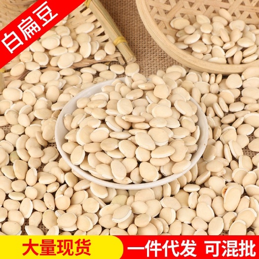 临沂白扁豆批发 农家白扁豆药扁豆五谷杂粮大粒白扁豆量大优惠