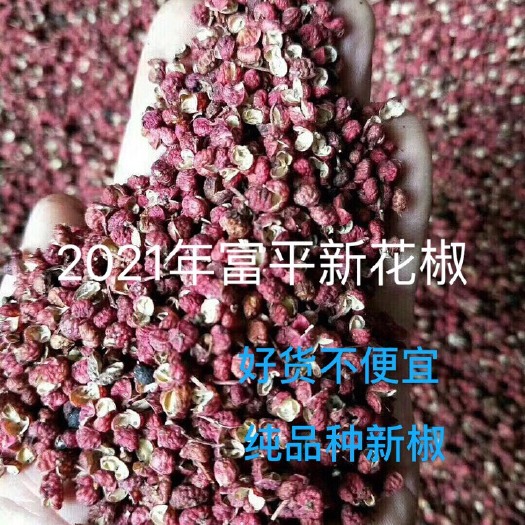 富平县大红袍花椒  陕西富平优质花椒   零差评，诚信第一，不满意随时退货包邮