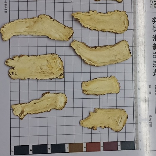 陇西县当归头片