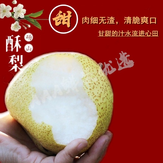 砀山县砀山酥梨原产地直发果园直发全国代发果园代办