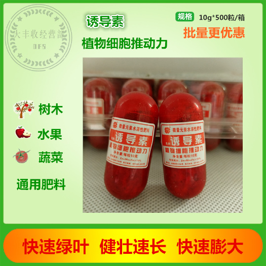南宁微量元素肥料  先科诱导素赤霉素多肉控徒增色肥嫩激发植物生长打破休眠