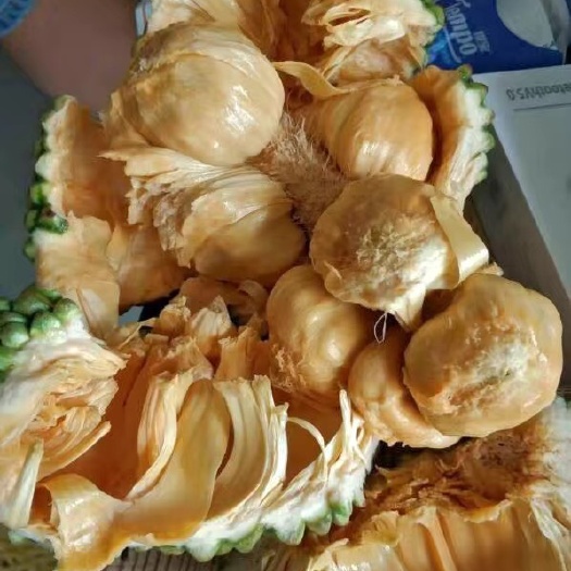 三亚尖蜜拉  榴莲蜜尖拉蜜 一件代发