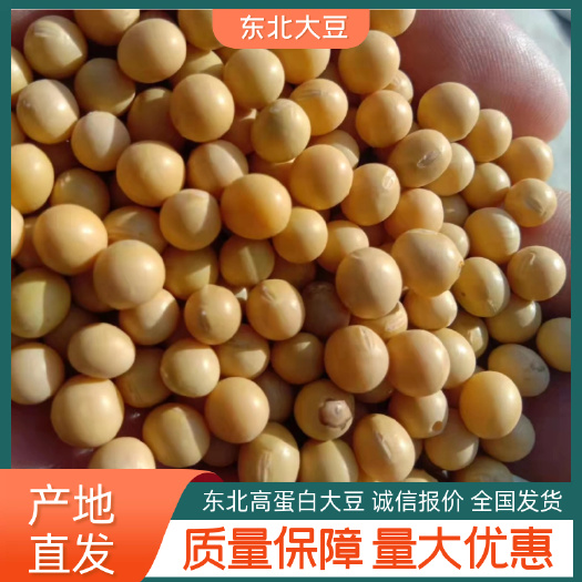 大豆垦农18含油脂22%左右，水分12个以内