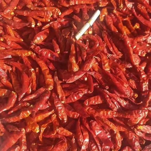 宁明县干辣椒 越南中部辣椒干