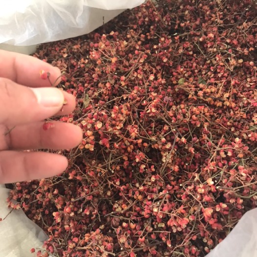 韩城市大红袍花椒 陕西大红袍
