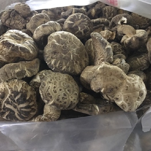 干花菇，没有剪脚的，通货5～10公分