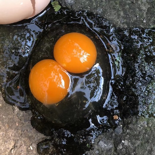 鹤壁土鸡蛋  ，最有乡土味儿，令人难忘！