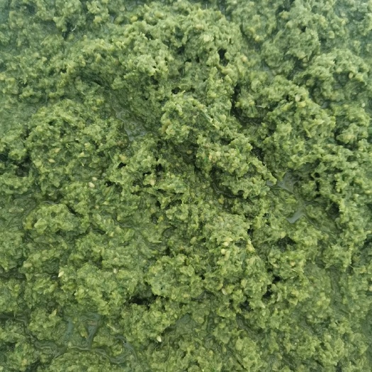 锡林浩特调味酱  内蒙古野生韭菜花酱